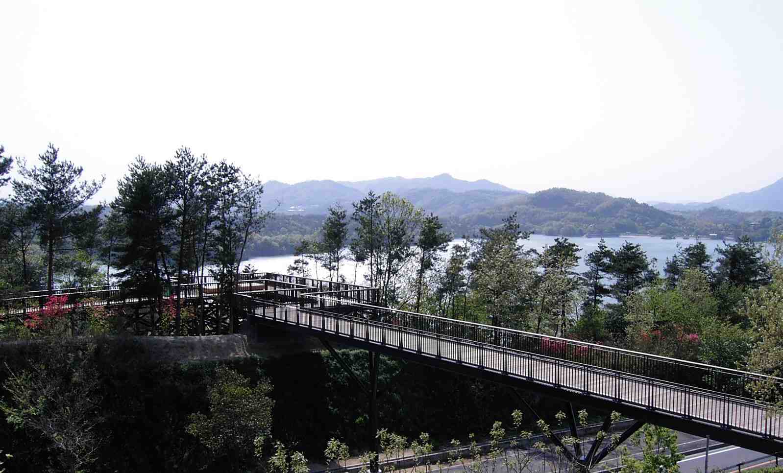 満濃池展望遊歩道1